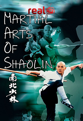 martialartsofshaolin